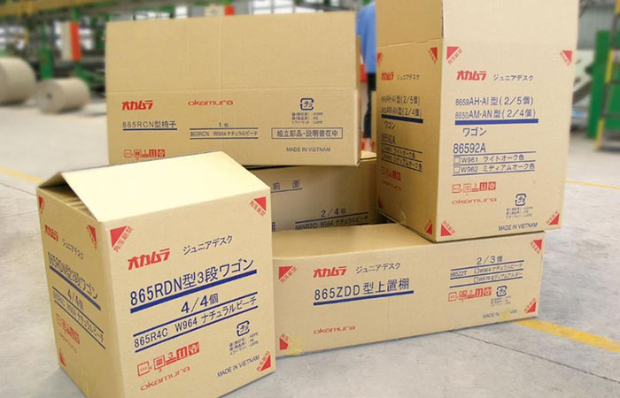 ve-bao-bi-carton-express-box